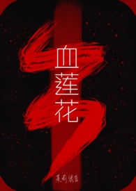 电视剧铁血莲花
